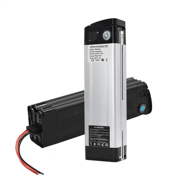 Προσαρμοσμένο ηλεκτρικό ποδήλατο 48volt 20ah Silver Fish E-Bike Λιθιογενής μπαταρία για την Aldi Prophet Mifa, Samsung