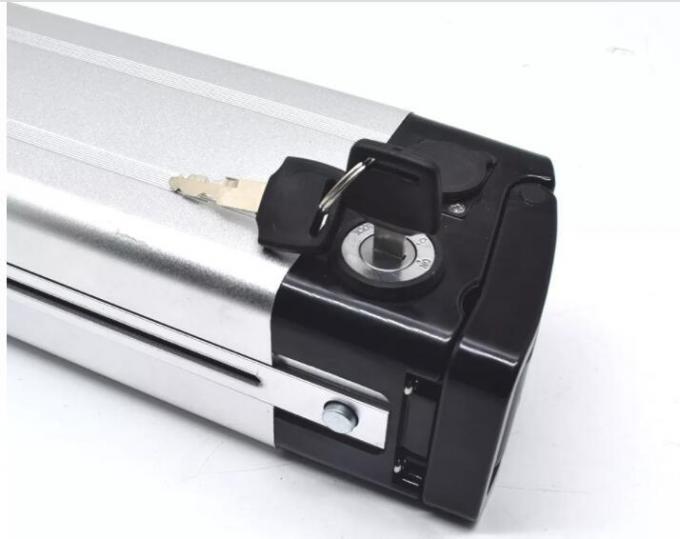 E Bike Replacement Battery 1000W 24V 36V 48V 10ah 15ah 20ah Vacuum Cleaner Battery Bicycle Battery 18650 Cell Downtube Silver Fish Style Battery Pack